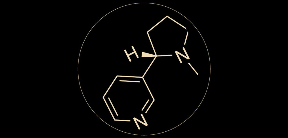 悦刻一代悦刻经典款